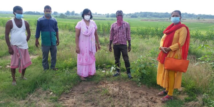 jamshedpur-rural-एनइपी निदेशक और बीडीओ ने विकास योजनाओं का किया निरीक्षण, दिए आवश्यक दिशा-निर्देश