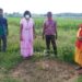 jamshedpur-rural-एनइपी निदेशक और बीडीओ ने विकास योजनाओं का किया निरीक्षण, दिए आवश्यक दिशा-निर्देश
