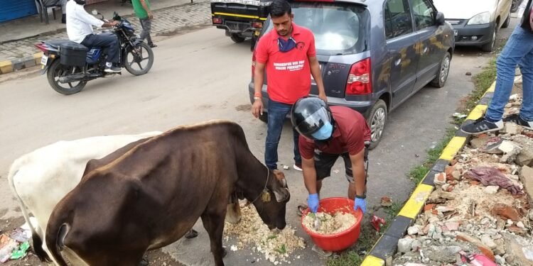 Jamshedpur : जमशेदपुर रेड पॉज रेस्क्यू फाउंडेशन और रॉबिन हुड आर्मी ने सड़क पर जानवरों को खिलाया चारा Jamshedpur : जमशेदपुर रेड पॉज रेस्क्यू फाउंडेशन और रॉबिन हुड आर्मी ने सड़क पर जानवरों को खिलाया चारा