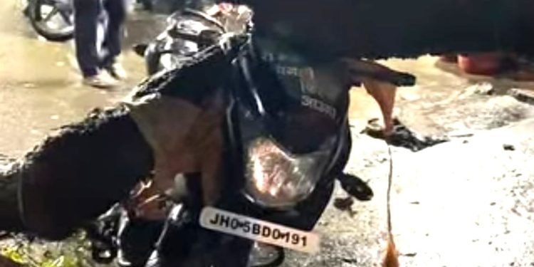 Jamshedpur rain effect : जमशेदपुर में बारिश का कहर, मानगो समेत कई इलाके में पेड़ गिरी Jamshedpur rain effect : जमशेदपुर में बारिश का कहर, मानगो समेत कई इलाके में पेड़ गिरी