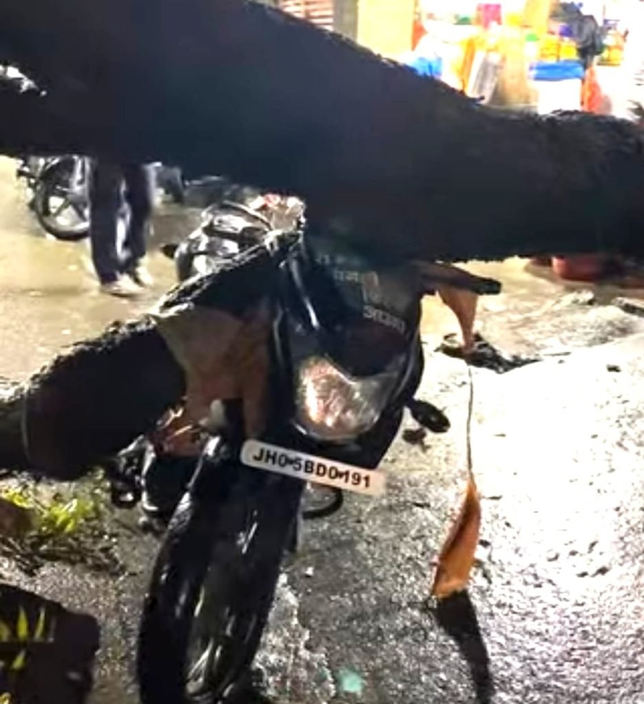 Jamshedpur rain effect : जमशेदपुर में बारिश का कहर, मानगो समेत कई इलाके में पेड़ गिरी Jamshedpur rain effect : जमशेदपुर में बारिश का कहर, मानगो समेत कई इलाके में पेड़ गिरी