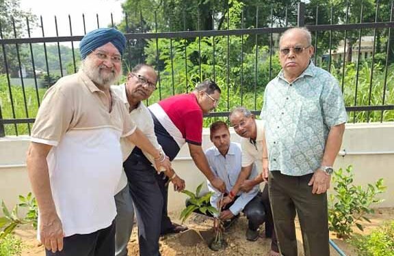 jamshedpur state bank pensioners association-स्टेट बैंक पेंशनर्स एसोसिएशन जमशेदपुर ने पार्वती घाट चिल्ड्रेन देवात्मा उद्यान में किया पौधरोपण, पर्यावरण संरक्षण का दिया संदेश jamshedpur state bank pensioners association-स्टेट बैंक पेंशनर्स एसोसिएशन जमशेदपुर ने पार्वती घाट चिल्ड्रेन देवात्मा उद्यान में किया पौधरोपण, पर्यावरण संरक्षण का दिया संदेश