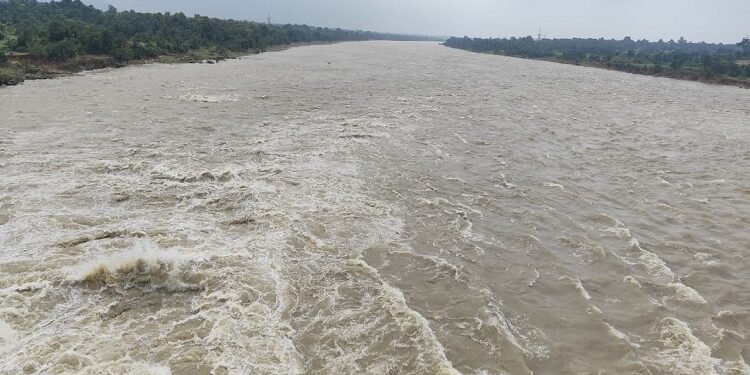 Jamshedpur rural swarnrekha water level on rise : लगातार बारिश से बढ़ा स्वर्णरेखा नदी का जल स्तर, गालूडीह बराज के 18 में से 11 गेट खोले गए, नदी में छोड़ा जा रहा 4000 क्यूमैक्स पानी Jamshedpur rural swarnrekha water level on rise : लगातार बारिश से बढ़ा स्वर्णरेखा नदी का जल स्तर, गालूडीह बराज के 18 में से 11 गेट खोले गए, नदी में छोड़ा जा रहा 4000 क्यूमैक्स पानी
