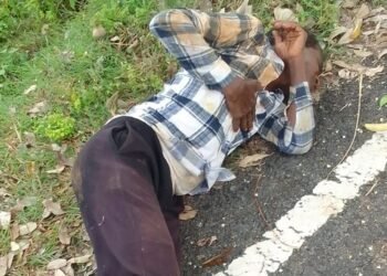 Jamshedpur rural accident : चाकुलिया सड़क हादसे में युवक घायल, बेहतर इलाज के लिए बारीपदा रेफर Jamshedpur rural accident : चाकुलिया सड़क हादसे में युवक घायल, बेहतर इलाज के लिए बारीपदा रेफर