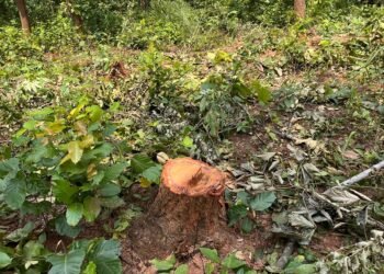 Jamshedpur rural ex bjp president : भाजपा के पूर्व प्रदेश अध्यक्ष डॉ दिनेशानंद गोस्वामी का झारखंड सरकार पर वार, कहा – झामुमो शासन में जंगल भी सुरक्षित नहीं Jamshedpur rural ex bjp president : भाजपा के पूर्व प्रदेश अध्यक्ष डॉ दिनेशानंद गोस्वामी का झारखंड सरकार पर वार, कहा – झामुमो शासन में जंगल भी सुरक्षित नहीं