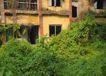 west singhbhum ckp dilapidated quarter issue- मौत को दावत दे रहे चक्रधरपुर प्रखंड कार्यालय परिसर के जर्जर क्वार्टर, आठ साल पहले विभाग ने घोषित किया था कंडम, फिर भी अब तक इन भवनों ने नहीं तोड़ा गया west singhbhum ckp dilapidated quarter issue- मौत को दावत दे रहे चक्रधरपुर प्रखंड कार्यालय परिसर के जर्जर क्वार्टर, आठ साल पहले विभाग ने घोषित किया था कंडम, फिर भी अब तक इन भवनों ने नहीं तोड़ा गया