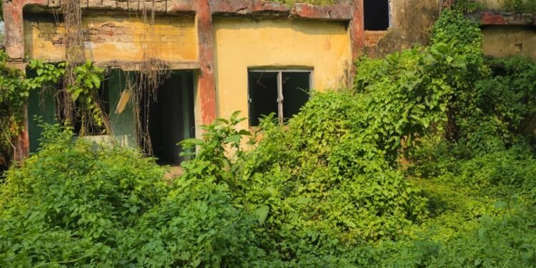 west singhbhum ckp dilapidated quarter issue- मौत को दावत दे रहे चक्रधरपुर प्रखंड कार्यालय परिसर के जर्जर क्वार्टर, आठ साल पहले विभाग ने घोषित किया था कंडम, फिर भी अब तक इन भवनों ने नहीं तोड़ा गया
