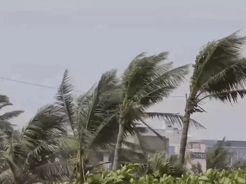 Cyclone Arnab impact- ‘अर्नब’ चक्रवात ने ओडिशा व आंध्र प्रदेश में मचायी तबाही, छह लोगो की मौत,ओड़िशा के गंजाम जिले में बाढ़, 300 गांवों में लोग फंसे, आंध्र प्रदेश में रेल पुल डूबा Cyclone Arnab impact- ‘अर्नब’ चक्रवात ने ओडिशा व आंध्र प्रदेश में मचायी तबाही, छह लोगो की मौत,ओड़िशा के गंजाम जिले में बाढ़, 300 गांवों में लोग फंसे, आंध्र प्रदेश में रेल पुल डूबा