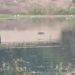Adityapur body found : आदित्यपुर में 24 घंटे के भीतर मिली दूसरी लाश, सनसनी Adityapur body found : आदित्यपुर में 24 घंटे के भीतर मिली दूसरी लाश, सनसनी