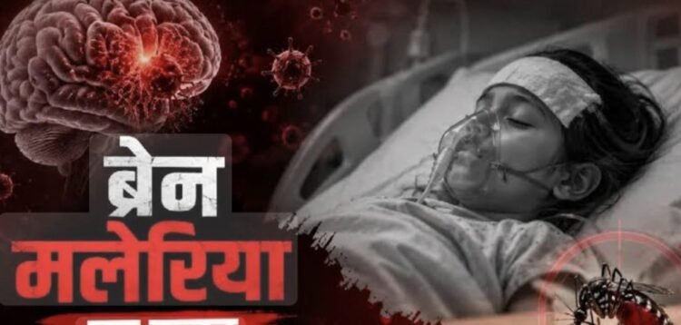 Jamshedpur brain malaria death – एमजीएम अस्पताल में ब्रेन मलेरिया से एक और बच्चे की मौत, सात दिनों से वेंटिलेटर पर था बच्चा Jamshedpur brain malaria death – एमजीएम अस्पताल में ब्रेन मलेरिया से एक और बच्चे की मौत, सात दिनों से वेंटिलेटर पर था बच्चा