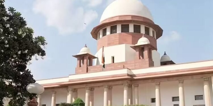 Internet accessibility a fundamental right : इंटरनेट तक पहुंच को लेकर सुप्रीम कोर्ट का ऐतिहासिक फैसला, बच्चों समेत सबके लिए इंटरनेट तक पहुंच एक मौलिक अधिकार, सोशल मीडिया एकाउंट्स पर चाइल्ड मोड जैसे उपाय अपनाने का सुझाव Internet accessibility a fundamental right : इंटरनेट तक पहुंच को लेकर सुप्रीम कोर्ट का ऐतिहासिक फैसला, बच्चों समेत सबके लिए इंटरनेट तक पहुंच एक मौलिक अधिकार, सोशल मीडिया एकाउंट्स पर चाइल्ड मोड जैसे उपाय अपनाने का सुझाव