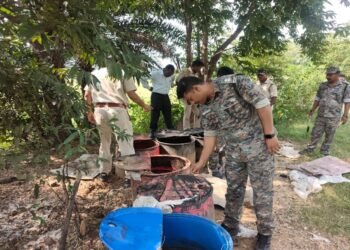 Jamshedpur excise dept big action : पूर्वी सिंहभूम के पोटका व सीतारामडेरा थाना क्षेत्र में आबकारी विभाग की बड़ी कार्रवाई, दोनों स्थानों से 8 हजार किलो जावा महुआ व 150 ली अवैध महुआ शराब जब्त