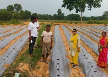 Jamshedpur rural khet bachao awareness campaign : मिट्टी की सेहत बचाने व टिकाऊ खेती अपनाने का किसानों को दिया संदेश, दारिसाई कृषि विज्ञान केंद्र  गांवों में चला रहा खेत बचाओ जागरूकता मुहिम, संतुलित मात्रा में खाद और समुचित सुरक्षित कीटनाशकों के प्रयोग पर जोर