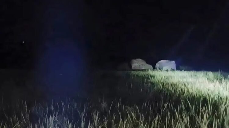 west singhbhum elephants terror-नोवामुंडी पहुंचा हाथियों का झुंड, वन विभाग ने सुरक्षित जंगल की ओर खदेड़ा, ग्रामीणों से सर्तक रहने की अपील west singhbhum elephants terror-नोवामुंडी पहुंचा हाथियों का झुंड, वन विभाग ने सुरक्षित जंगल की ओर खदेड़ा, ग्रामीणों से सर्तक रहने की अपील