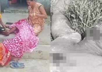 Adityapur body found : आदित्यपुर में युवक का शव मिलने से सनसनी, परिजनों को हत्या की आशंका Adityapur body found : आदित्यपुर में युवक का शव मिलने से सनसनी, परिजनों को हत्या की आशंका