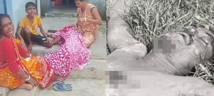 Adityapur body found : आदित्यपुर में युवक का शव मिलने से सनसनी, परिजनों को हत्या की आशंका Adityapur body found : आदित्यपुर में युवक का शव मिलने से सनसनी, परिजनों को हत्या की आशंका